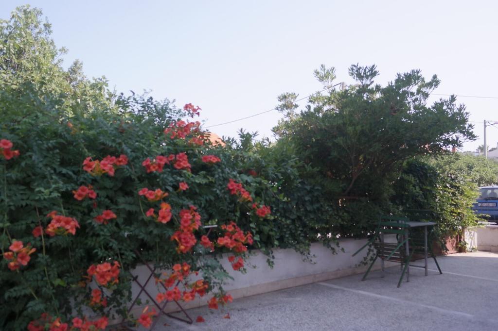 Apartment Lavanda Zadar Zewnętrze zdjęcie