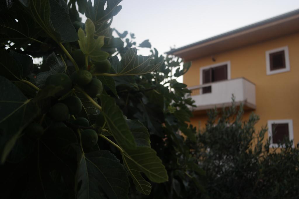 Apartment Lavanda Zadar Zewnętrze zdjęcie