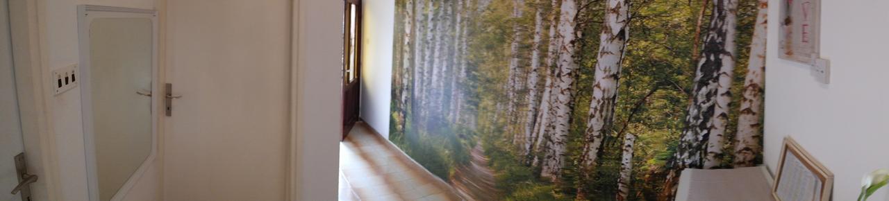 Apartment Lavanda Zadar Zewnętrze zdjęcie